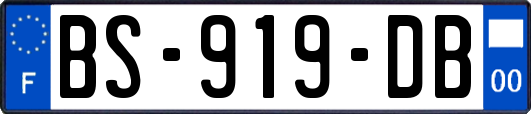 BS-919-DB