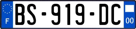 BS-919-DC