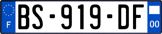 BS-919-DF