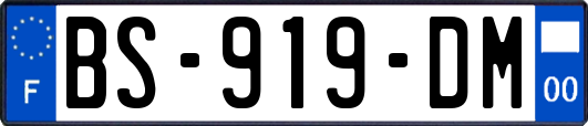 BS-919-DM