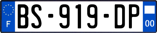 BS-919-DP