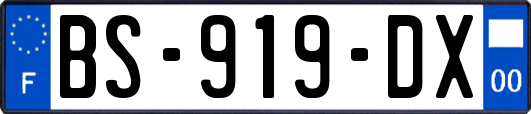 BS-919-DX