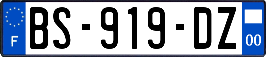 BS-919-DZ