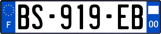 BS-919-EB