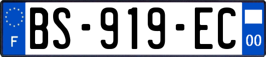 BS-919-EC