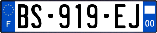 BS-919-EJ