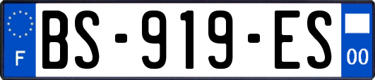 BS-919-ES