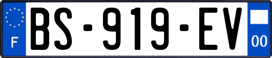 BS-919-EV