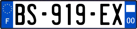 BS-919-EX