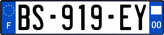 BS-919-EY