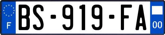 BS-919-FA
