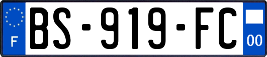 BS-919-FC