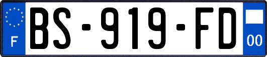 BS-919-FD