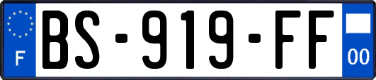 BS-919-FF