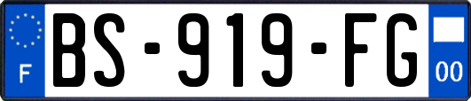 BS-919-FG