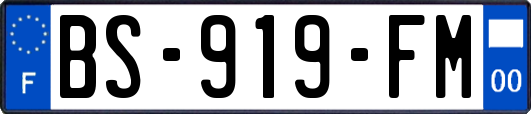 BS-919-FM