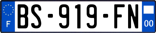 BS-919-FN