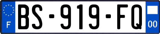 BS-919-FQ