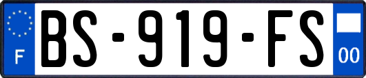 BS-919-FS