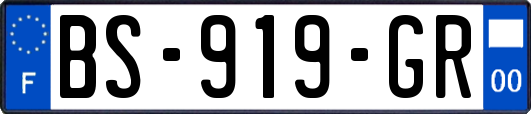 BS-919-GR