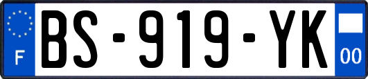 BS-919-YK