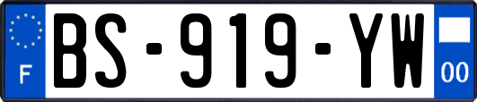 BS-919-YW