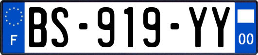 BS-919-YY