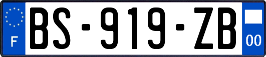 BS-919-ZB