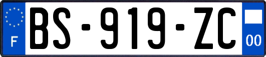 BS-919-ZC