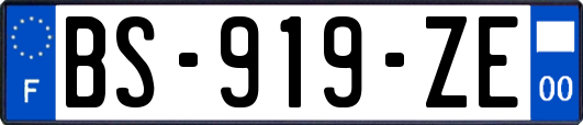BS-919-ZE
