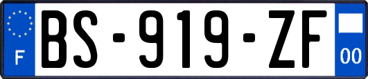 BS-919-ZF