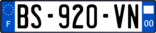 BS-920-VN