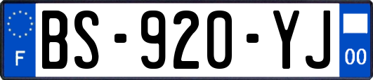 BS-920-YJ