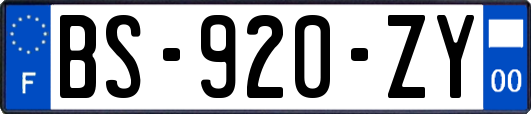 BS-920-ZY