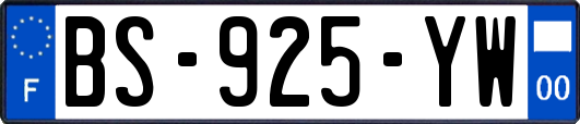 BS-925-YW