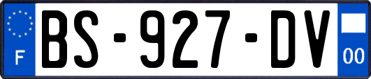 BS-927-DV