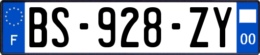 BS-928-ZY