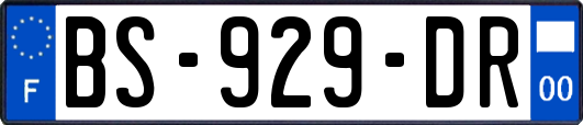 BS-929-DR