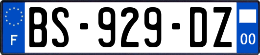 BS-929-DZ