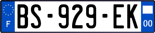 BS-929-EK