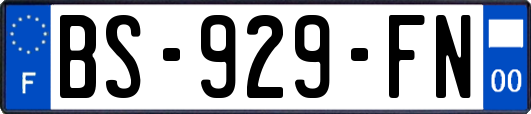 BS-929-FN