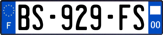 BS-929-FS