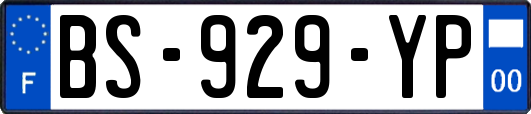 BS-929-YP