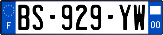 BS-929-YW