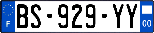 BS-929-YY