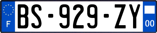 BS-929-ZY