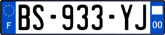 BS-933-YJ