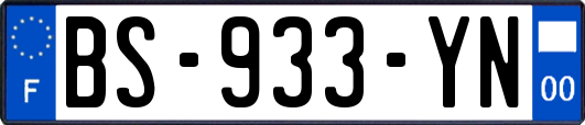 BS-933-YN