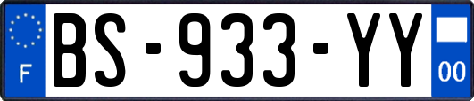 BS-933-YY