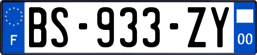 BS-933-ZY